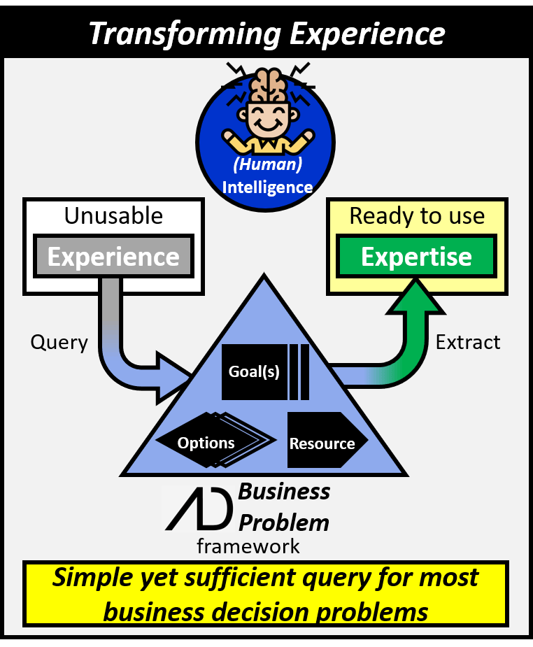 Human intelligence can be transformed from unusable experience into ready to use expertise by using the business problem framework which queries experience into goals, options, and resources using a simple yet sufficient query suitable for most business decision problems.